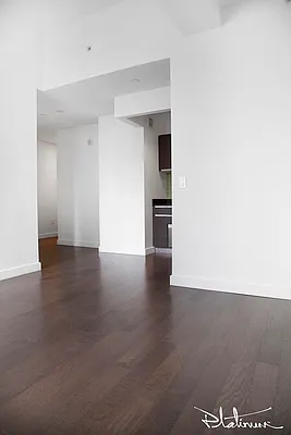 Rented by Platinum Properties | media 13