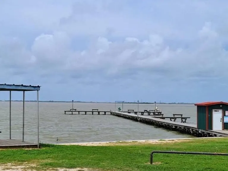 238 Ladyfish — Photo 16