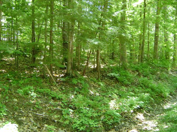 Land For Sale Moultonborough Nh