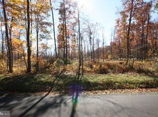 Shingle Cp, Mc Henry, MD 21541