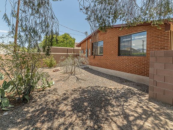 Backyard/Dog Run