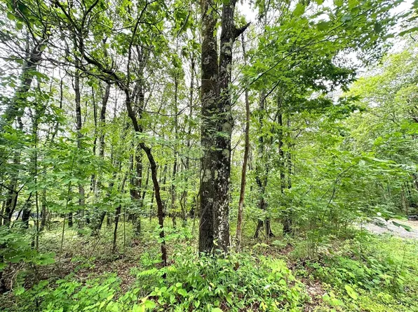 LOT 14 Ash Ct, Terra Alta, WV 26764