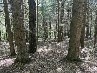360 Ives Hill Rd, Afton, NY, 13730