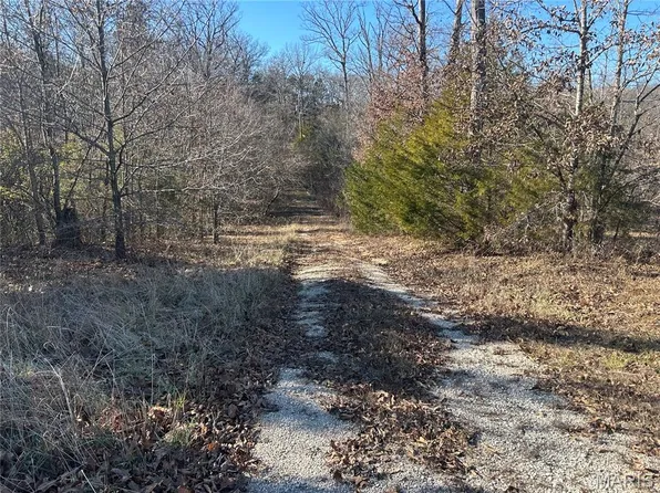 1029 Birch Dr, Lonedell, MO 63060