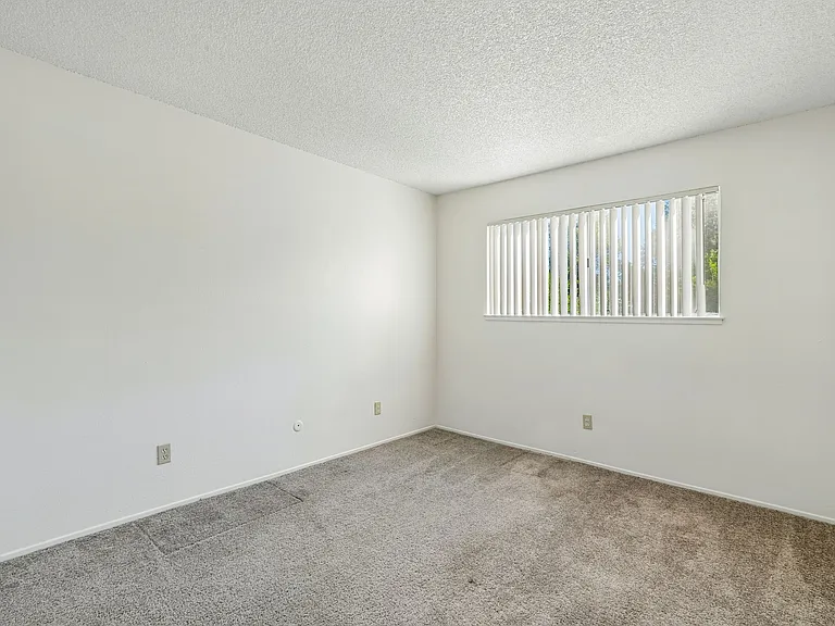 Sherwood and Forest Arms Apartments — Photo 18