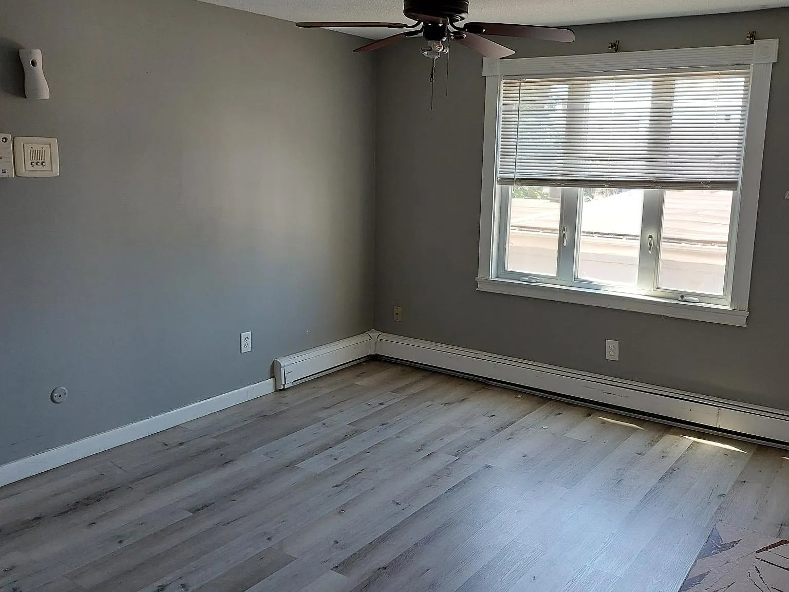 2 bed, 725 sqft, $1,850 — Photo 4