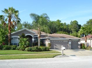 13909 Chandron Dr, Odessa, FL 33556