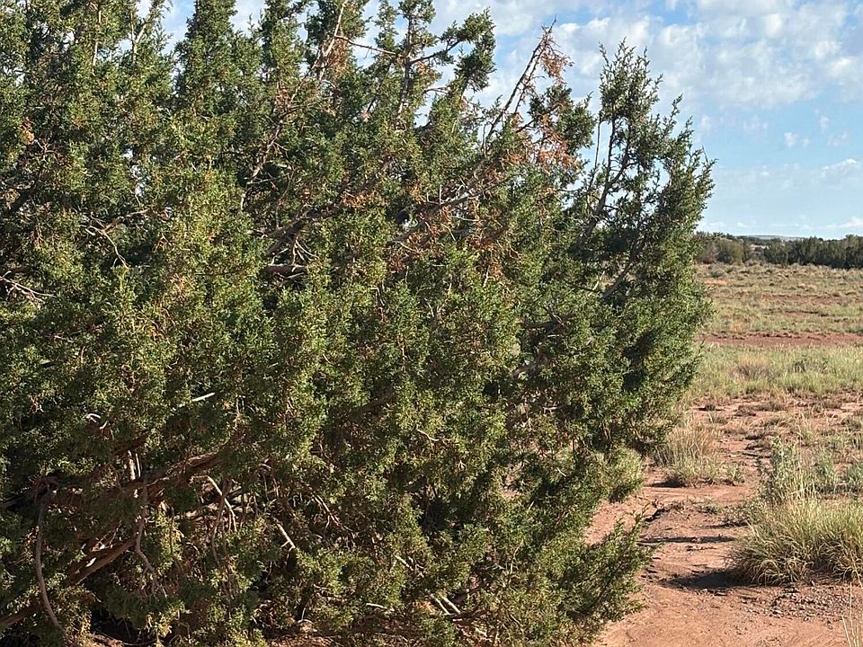 2nd image of County Rd #5576