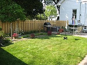 Back Yard