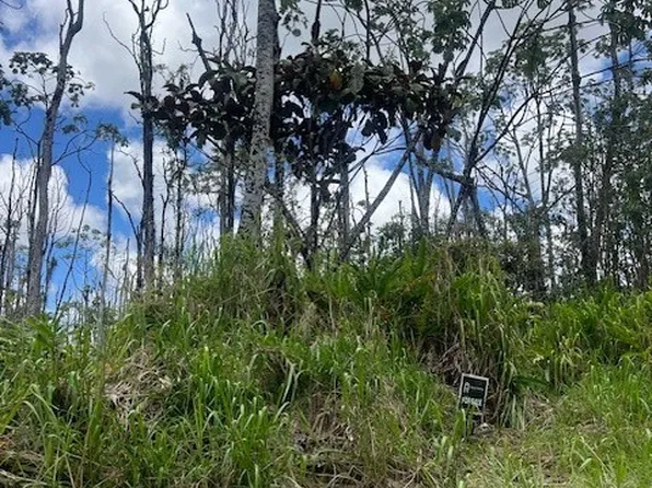 67 39th Ave, Pahoa, HI 96778