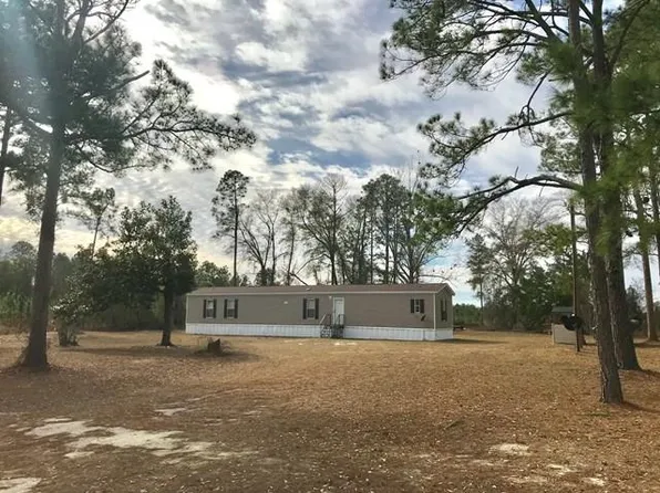 242 Ivy Brewer Rd, Hazlehurst, GA 31539