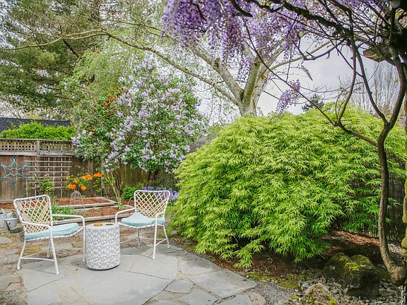 back yard