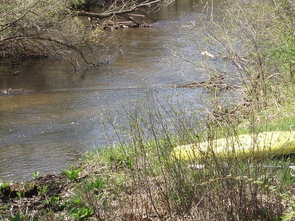 Augusta Creek