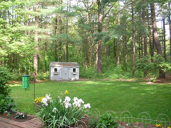 Lovely Backyard