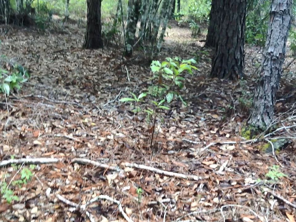 1st image of 721 Old Bubbly Rd