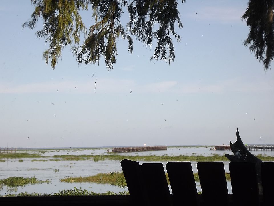 view from inside