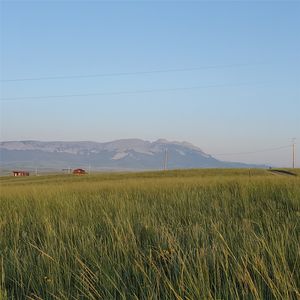 247 Prickly Pear Ln, Augusta, MT, 59410