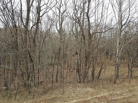 3rd image of Pine Spur Ln