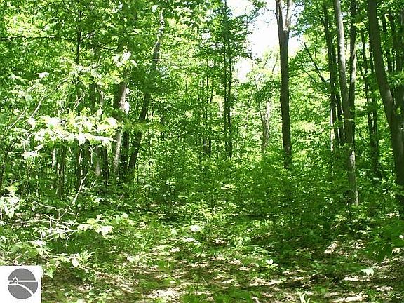 3rd image of Bonnie Ln #8 & 9