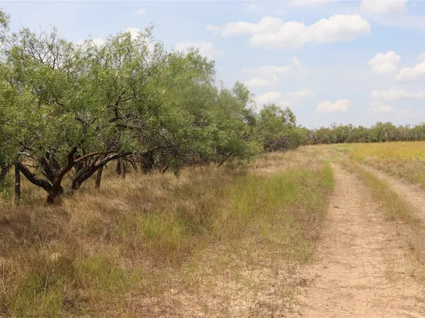 1666 Fm 703, Novice, TX 79538