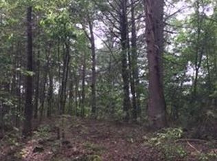 LOT Cherry Log St #B, Cherry Log, GA 30522