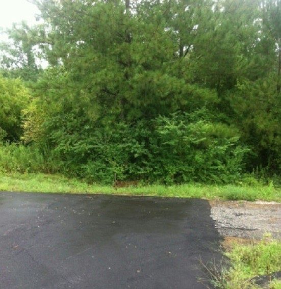 2nd image of 269 Oak Dale Dr