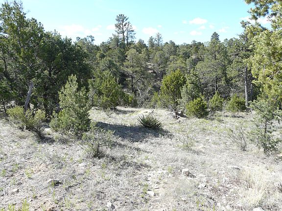 5th image of 3650 Green Forest Dr