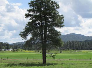 221 S Highland Meadows Dr, Williams, AZ 86046