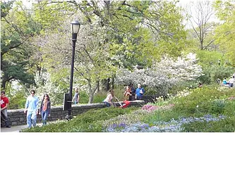 Sold by Ann Ferguson, LLC