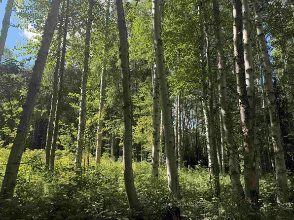 2329 Cripple Creek Rd, Fairbanks, AK 99709