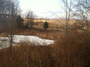 0 Buckwheat Hollow Rd, Lindley, NY 14858