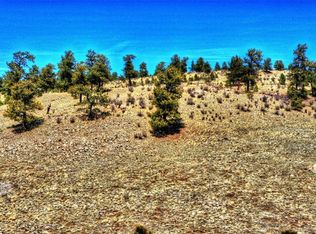 529 Goldenburg Canyon Rd, Hartsel, CO 80449