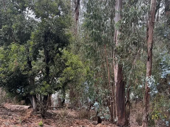 6587 Thornhill Dr, Oakland, CA 94611