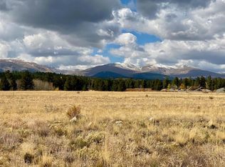 Trout Creek Dr, Fairplay, CO 80440