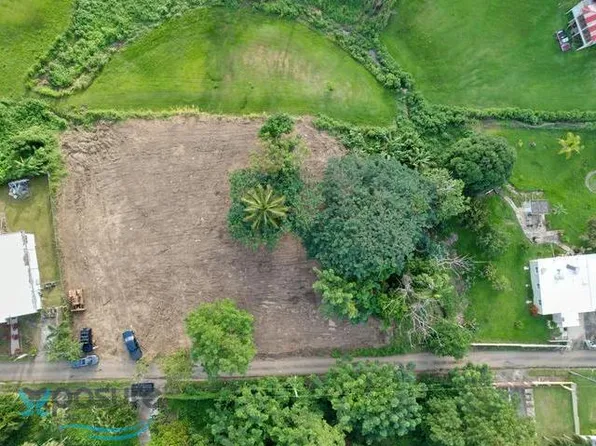 Lote 4 Mariana Carretera #972, Naguabo, PR 00718