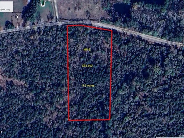 Mary Kinchen Rd, Albany, LA 70711
