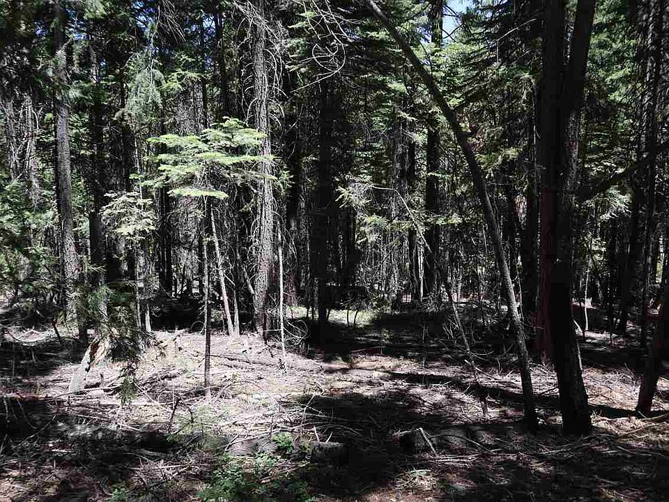 2nd image of 2500 Shooting Star Ln