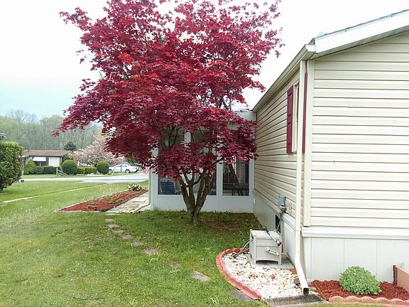2nd image of 95 Shamrock Ave