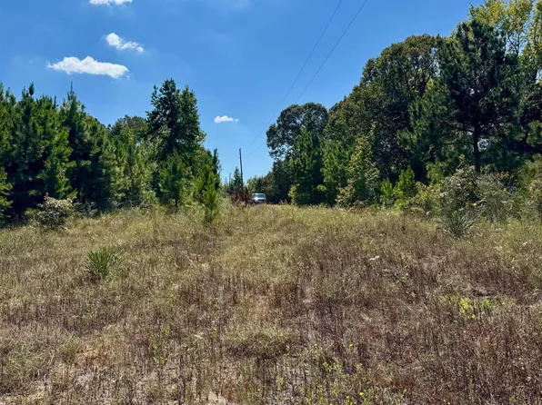 249 Kaiser Rd, Castor, LA 71016