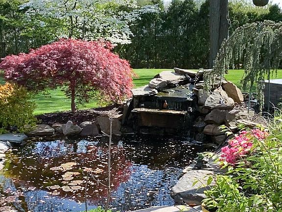 Koi fish pond in the back yard