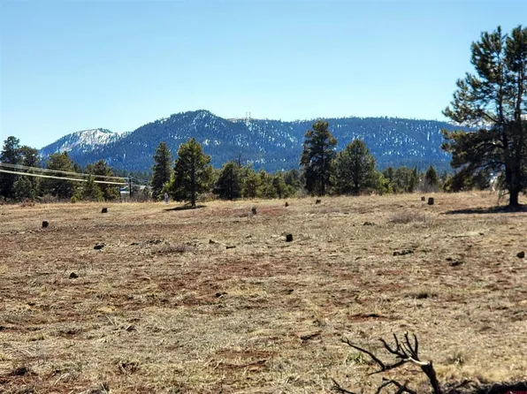 22 Greenway Drive, Pagosa Springs, CO 81147