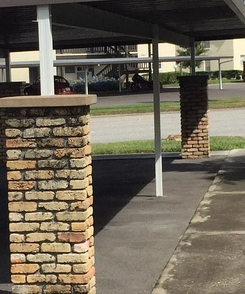 Covered Parking