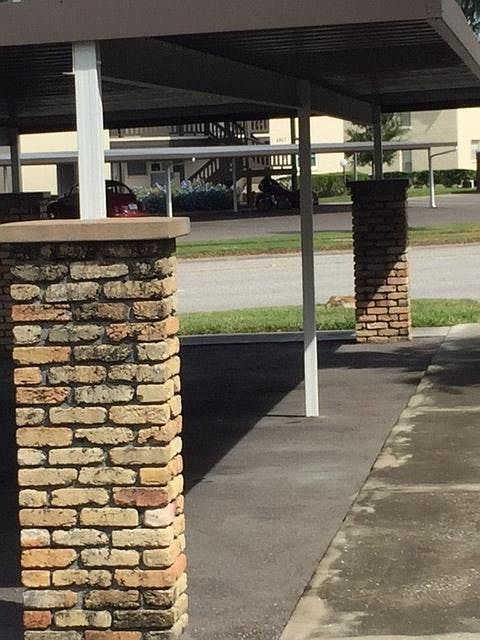 Covered Parking