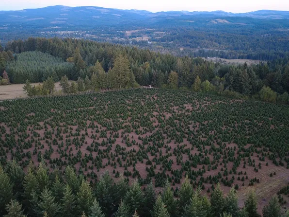 SE Beavercreek Rd, Colton, OR 97017