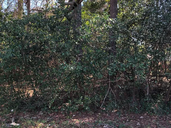 389 Live Oak, Trinity, TX 75862