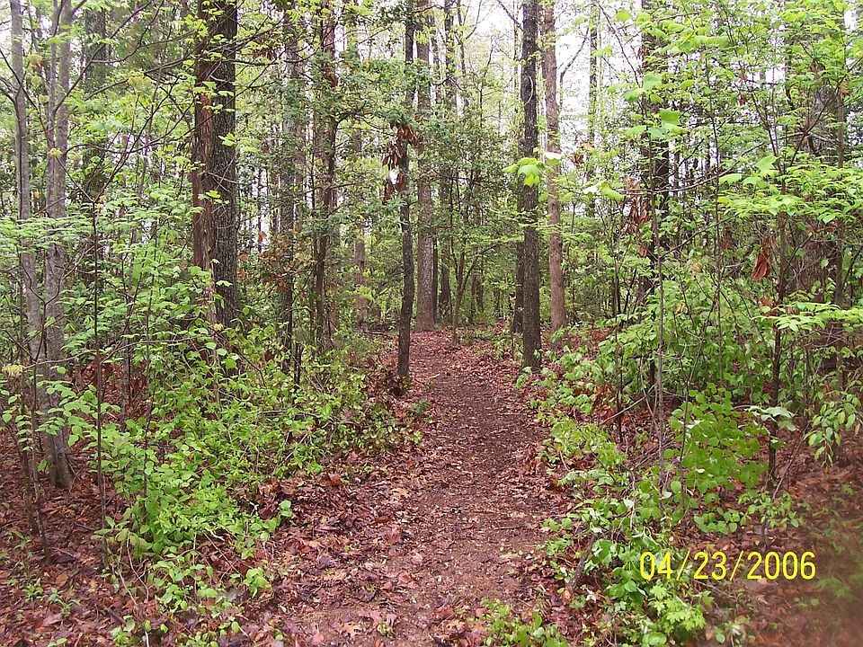 Wooded Lot