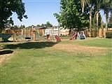Huge Back yard