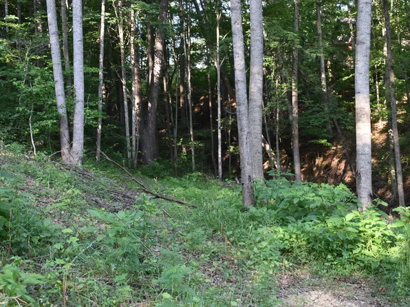 60 Lakewood Dr, Morehead, KY 40351