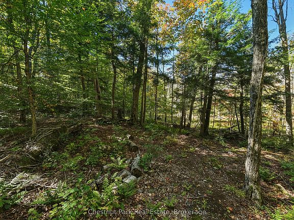 4th image of 0 Estonian Camp Rd