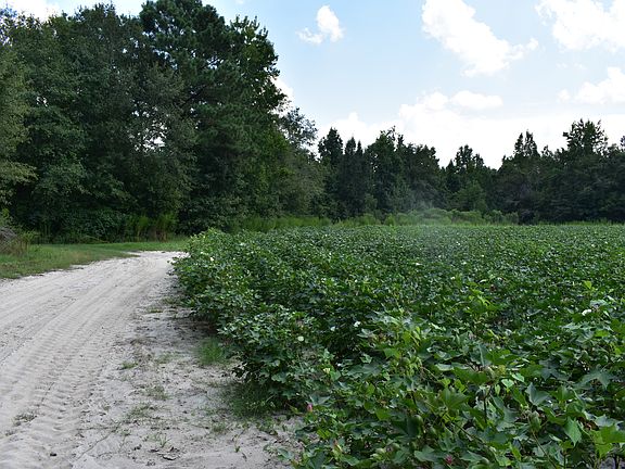 North Field looking East